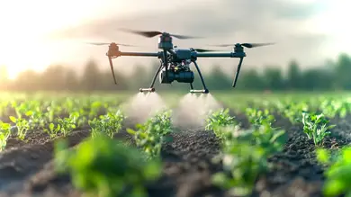 Innovaciones en la agricultura mejoran la productividad